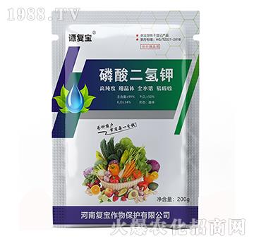 �������⛣�200g��-��(f��)������