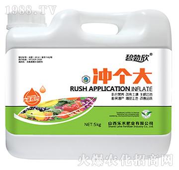 �_��(g��)��-����