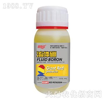 ���w��-��(l��)��