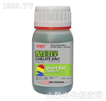 �����\-����