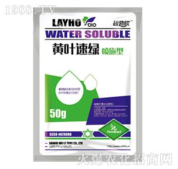 �S�~�پG����ʩ�ͣ�-����