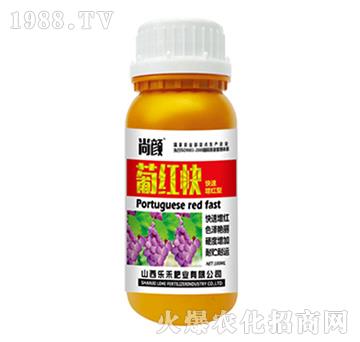 ����ϼt��-��(l��)��