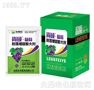 �����������-����