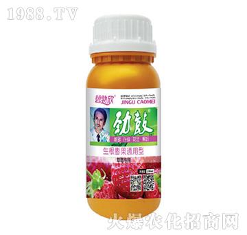 �ŹĲ�ݮ����-����