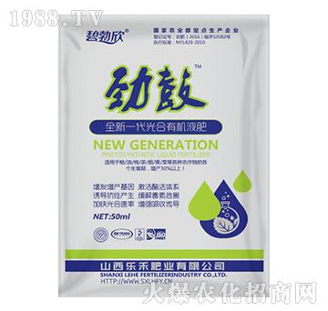 ȫ��һ������ЙCҺ��-����