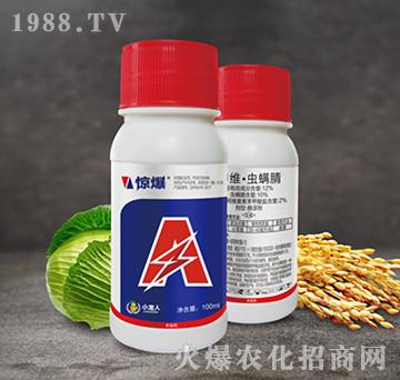 12%�׾S���x����-�@��-С����