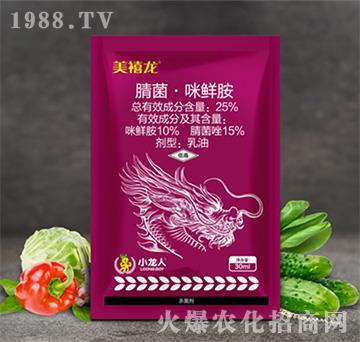 25%��������r��-������-С����