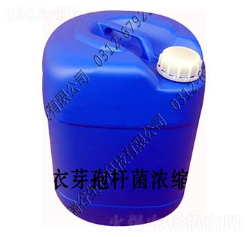 ����ѿ�ߗU����sҺ-�������