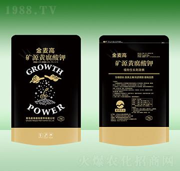 �VԴ�S�����-������-���u����