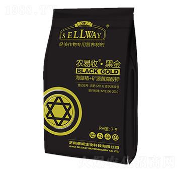 ���徫+�VԴ�S�����-�r(n��ng)���ա��ڽ�-ِ������