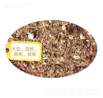 ������������ĩ��������-�Z�M�}