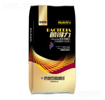 ΢���������5�|��-������-��S�r�I(y��)