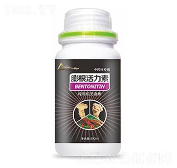 ��ˎ�Č������������-�����Ƽ�