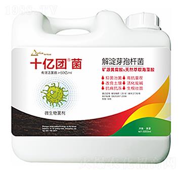 ���ѿ�ߗU��-ʮ�|�F(tu��n)��-�����Ƽ�