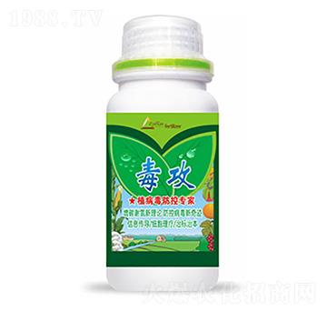 ����-�����Ƽ�