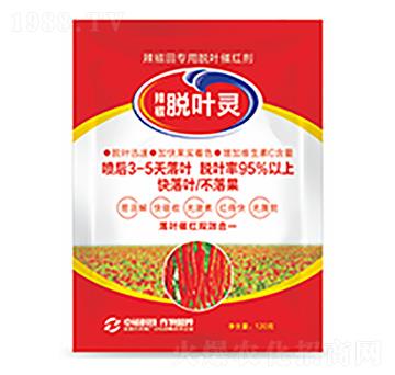 Ó�~�`-�����Ƽ�