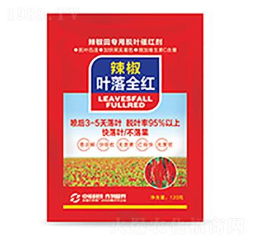 �����~��ȫ�t-�����Ƽ�