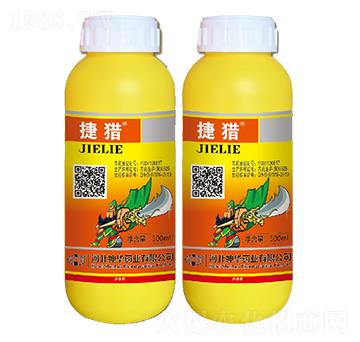 50��ÿ�������-�ݫC-���A