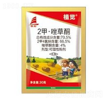 70.5%2�ס����ͪ-ֲ�X-ϲ�S��