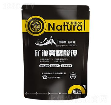 �VԴ�S�����-�S����-�����r�I(y��)