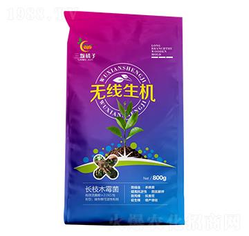 �o(w��)�����C(j��)-���w����