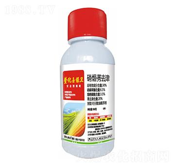 30%������ݬȥ��-�滯���l(w��i)-�滯���h