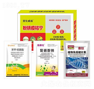 ���P�߿݌�-�滯���h(yu��n)