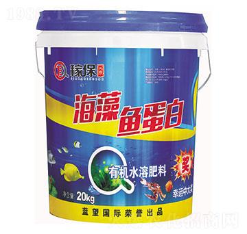 �����~����-�ڱ�����-�ڱ�����