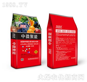 ��΢����-ʩ����