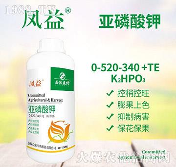 �������0-520-340+TE-�L��-��������