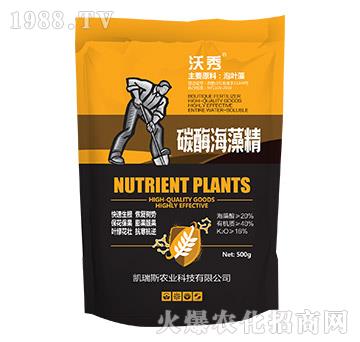 ̼ø���徫-����-�P��˹