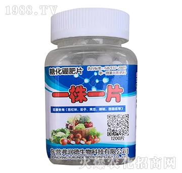 �ǻ����Ƭ-һ��һƬ-����(r��n)��