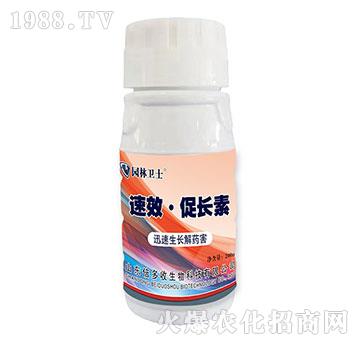 ��Ч�����L��-�@���l(w��i)ʿ-������