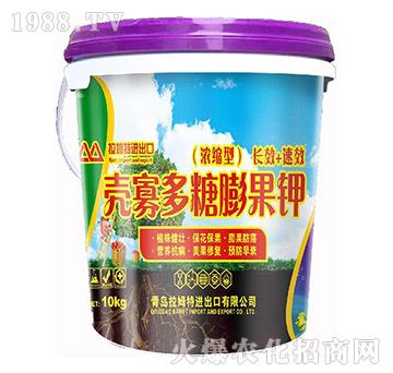 ���Ѷ�������-��ķ�؝�