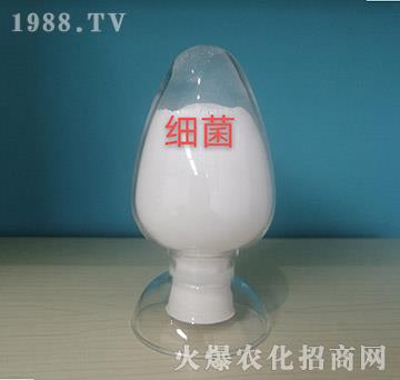 ��(x��)������ԭ��-���o��(c��)�r(n��ng)�I(y��)