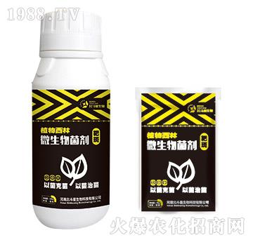 �аߌ���΢�������-ֲ������-������