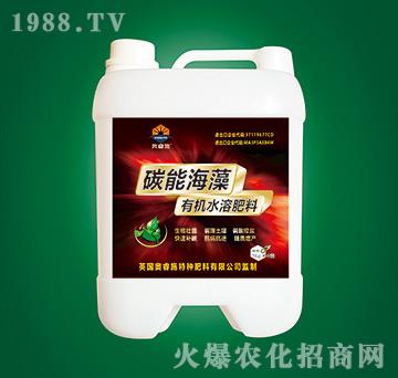 ̼�ܺ����ЙCˮ�ܷ���-�W�ʩ