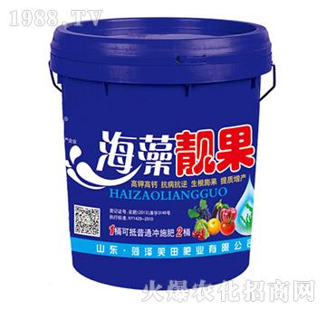 �����n��-Ц��