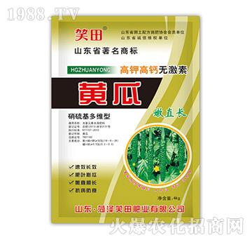 �S����ֱ�L-Ц��