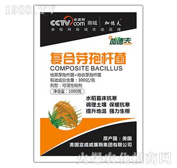 �ͺ�ѿ�ߗU��-��ɭ��