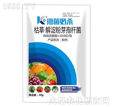 枯草·解淀粉芽孢桿菌（30g）-細菌必殺-碩達