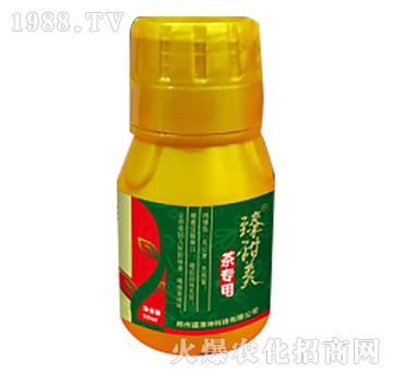 �茣(zhu��n)��-������-ʢ����