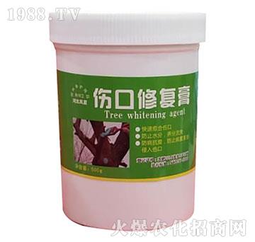 �����ޏ͌�-�ӱ��P��