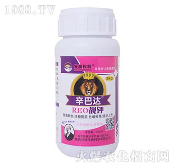 �n�-�����_(d��)-�ȝ�����