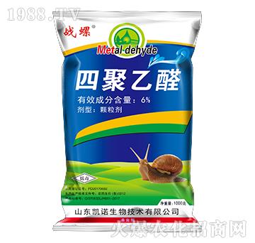 6%�ľ���ȩ��1000�ˣ�-��(zh��n)��-�P�Z����