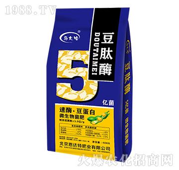 ΢�������5�|����-��