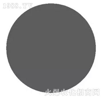 �S�����V-��΢