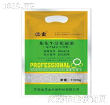 �����������-�������