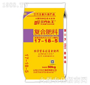 �LЧ�ʏ�(f��)�Ϸ���17-18-5-��������