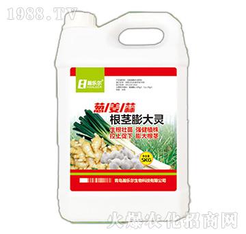 ���o����`-嫘�(l��)��